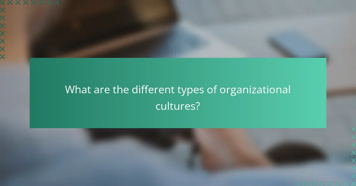What are the different types of organizational cultures?